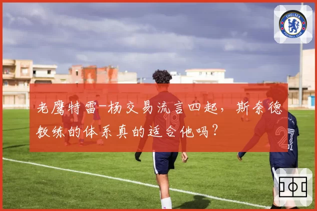 老鹰特雷-杨交易流言四起，斯奈德教练的体系真的适合他吗？